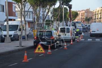 Parques y Jardines elimina en Salinetas el árbol que ensuciaba los recipientes de basura (Foto TA)